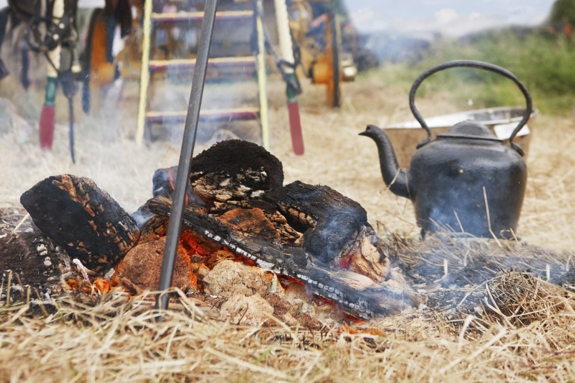 iStock_000009771495Medium4 (1)